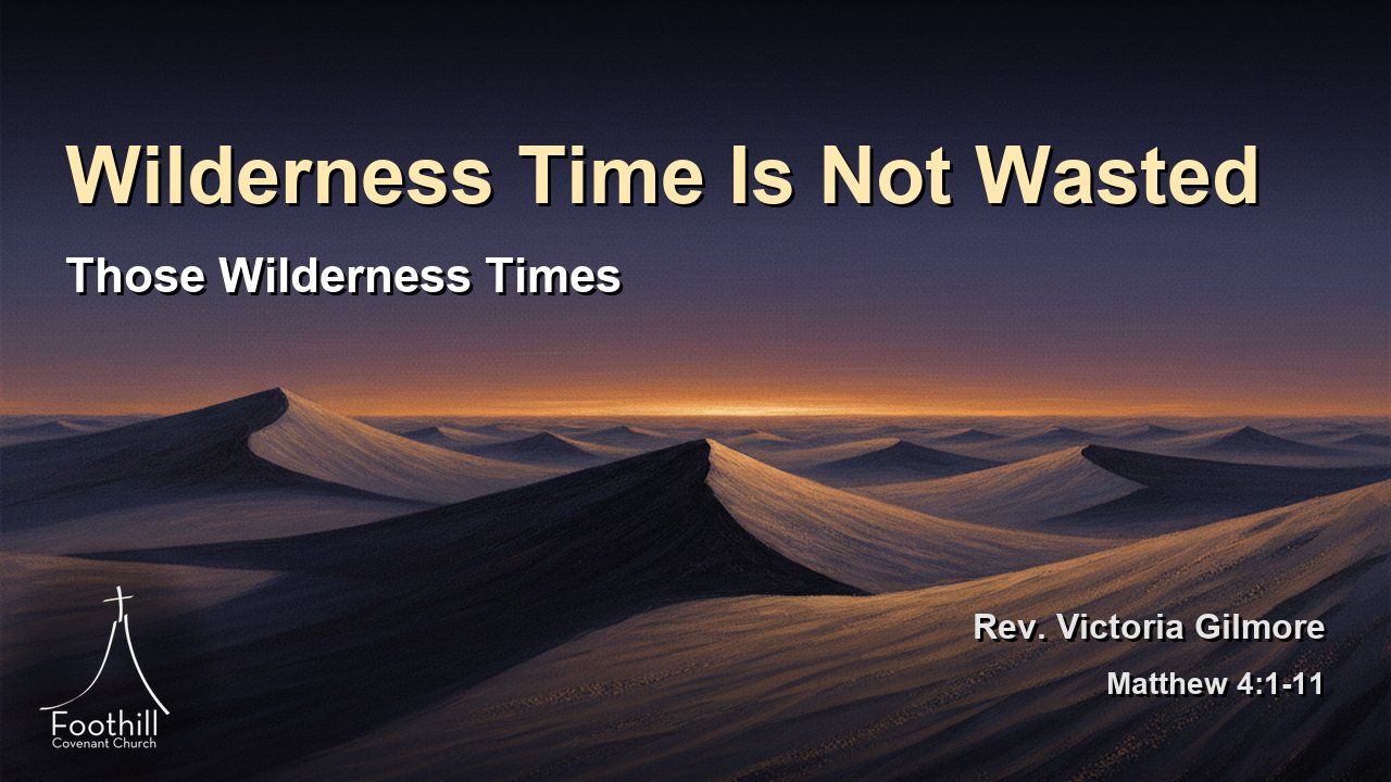 Thumbnail for Those Wilderness Times