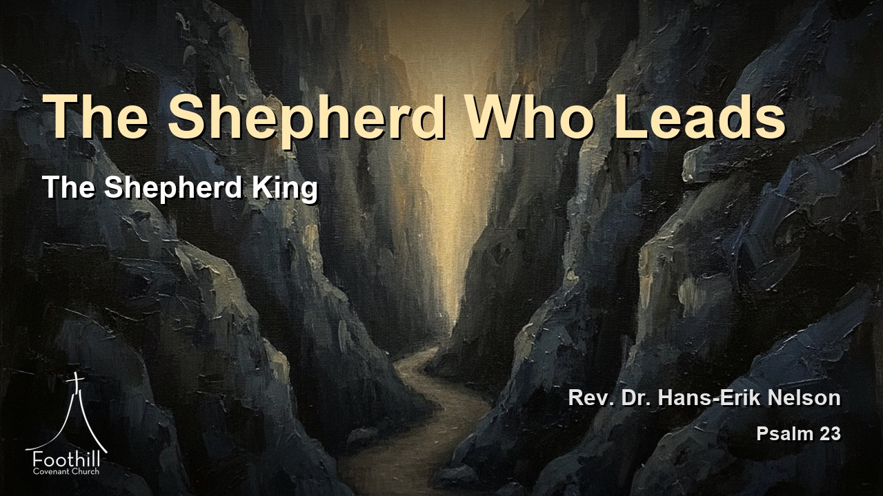 Thumbnail for The Shepherd King