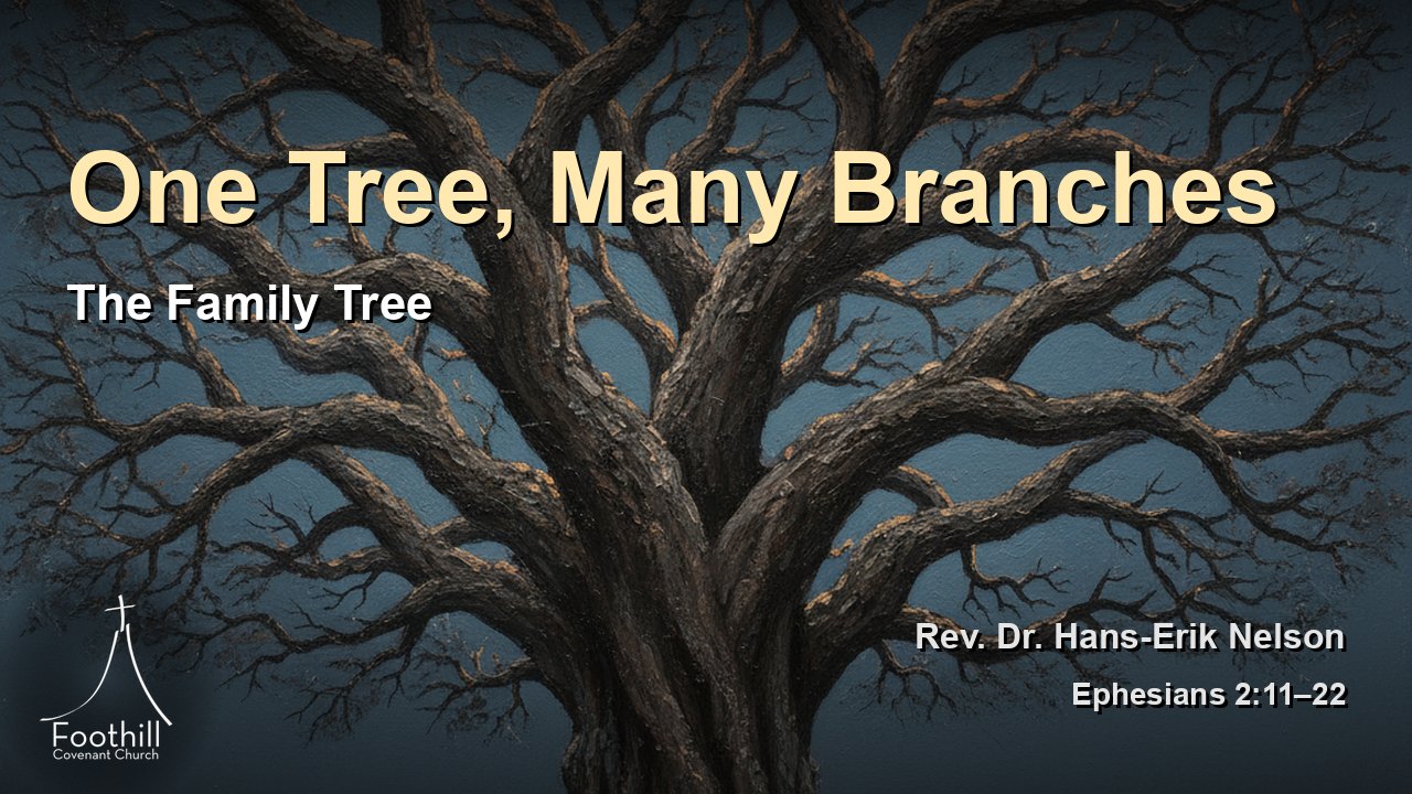 Thumbnail for The Family Tree
