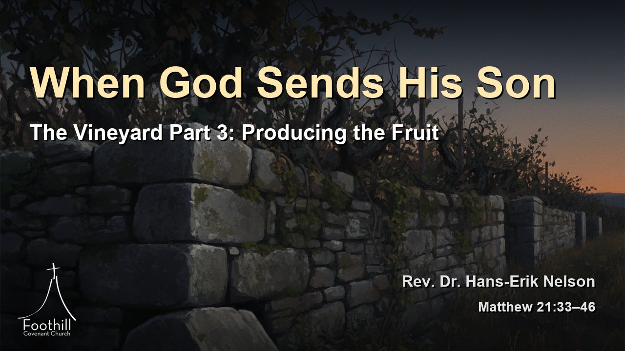 Thumbnail for The Vineyard Part 3: Producing the Fruit
