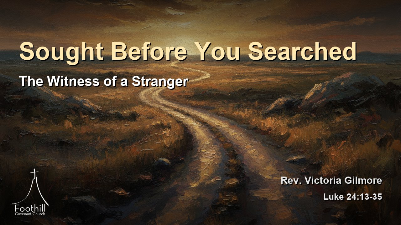 Thumbnail for The Witness of a Stranger