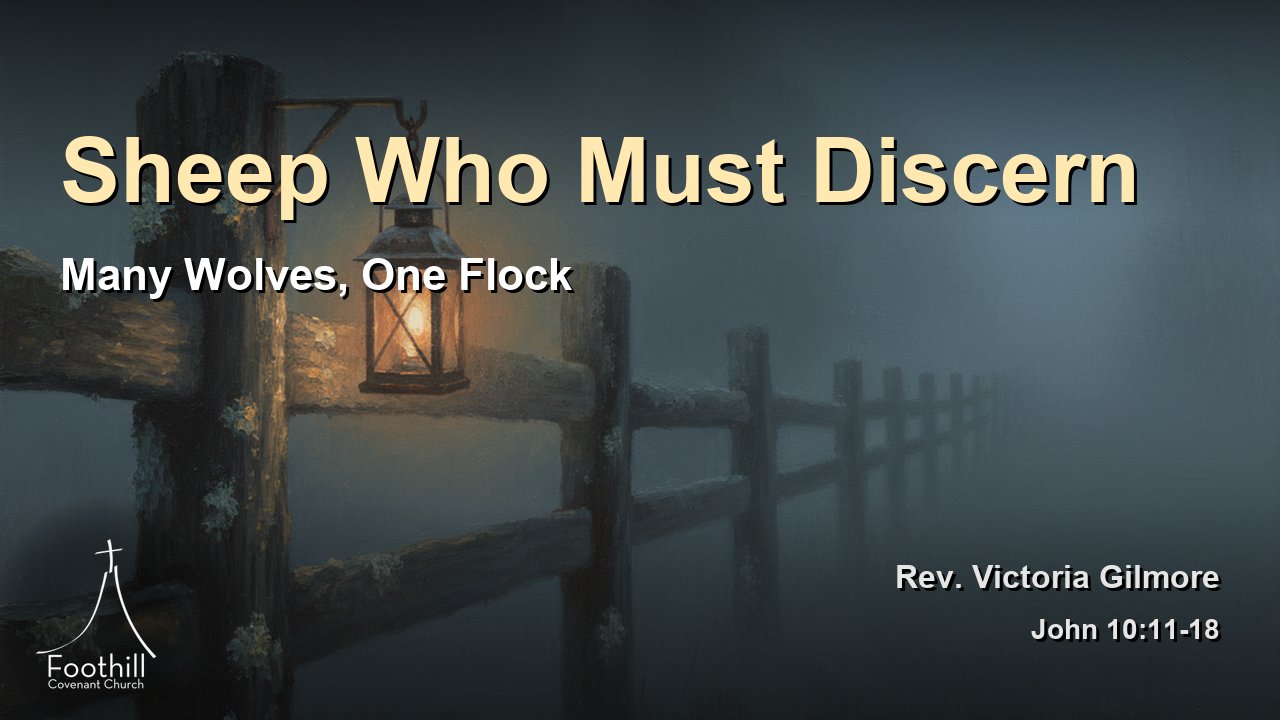 Thumbnail for Many Wolves, One Flock